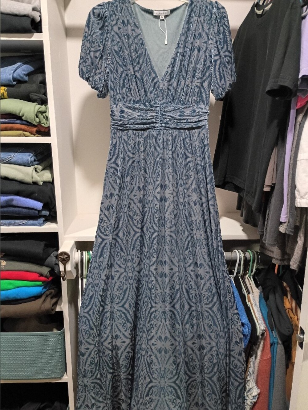 Baltic Born Velvet Burnout Maxi Dress